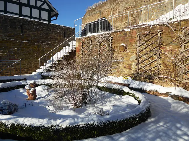 Rosengarten 2026-02, 11.01.2026.