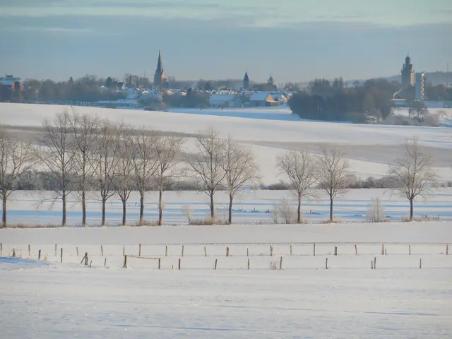 Winterlicher Blick in Richtung Korbach am 19.01.2017 gegen 9.15 Uhr aus Richtung meines Lieblingsbaumes. | Foto: M. A.