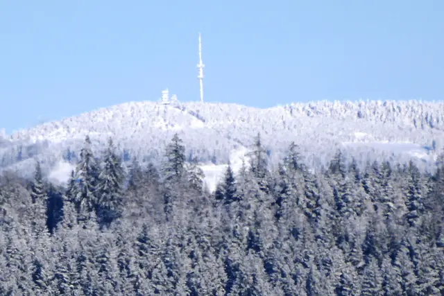 Sonntagsbilder 2026-02, Blick von Naumanns Hütte zum Bollerberg, 11.01.2026.