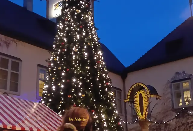 Großer Weihnachtsbaum mit unzähligen Kerzen | Foto: Iris Alefelder