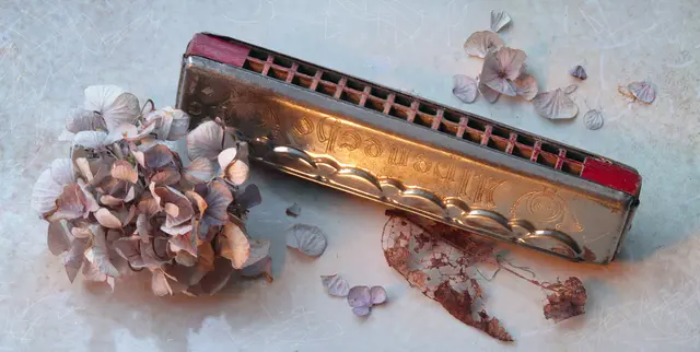 M.Hohner Alpenecho Mundharmonika - 50er Jahre