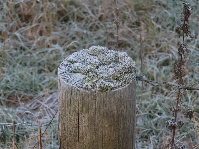 Original-Foto | Foto: M. A.