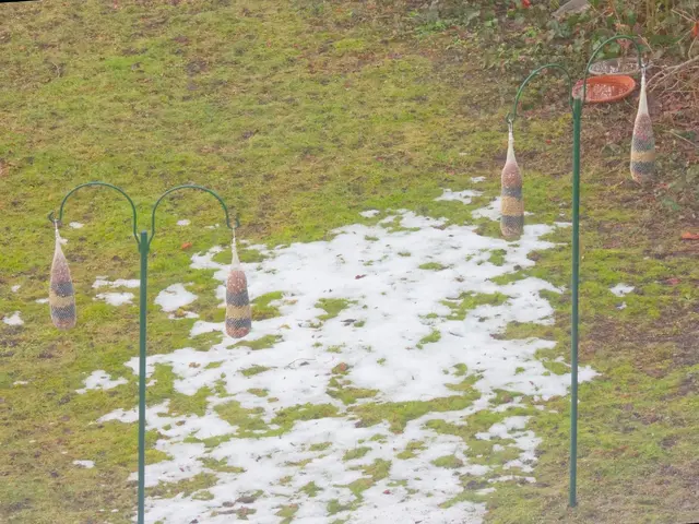 Endlich, am 15.01.2026 kam die Nachlieferung mit neuen Futterstangen an, die mein Sohn vertretend für mich anhängen konnte.