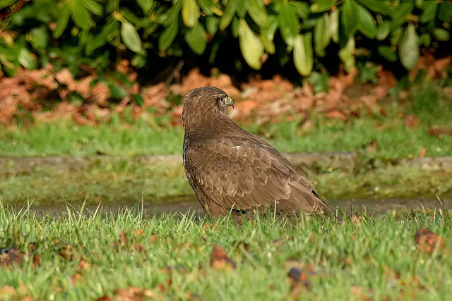 Foto: Copyright Andreas Schäfer