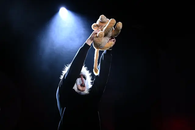 Die Faschingssitzungen "KOL-LA" bieten mehrere Stunden Kurzweil und gute Laune. 