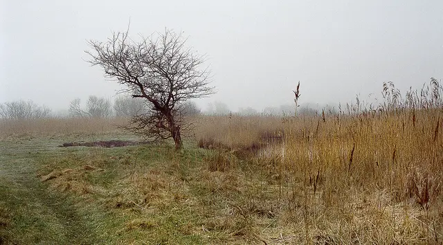 Sylt im Nebel
