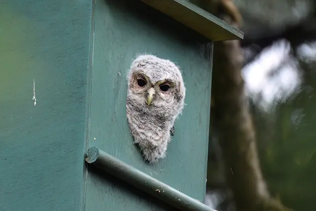 Rückblick | Foto: Copyright Andreas Schäfer