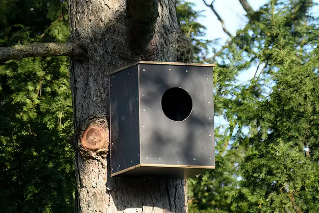 Foto: Copyright Andreas Schäfer