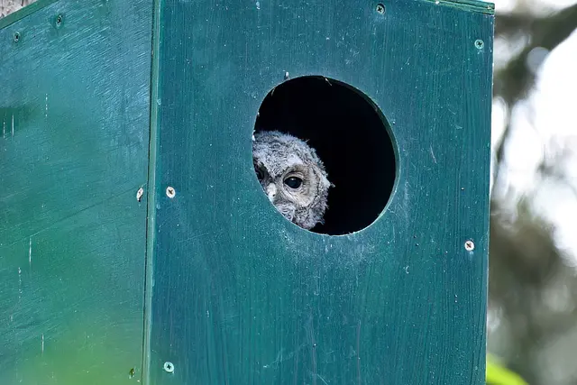 Rückblick | Foto: Copyright Andreas Schäfer