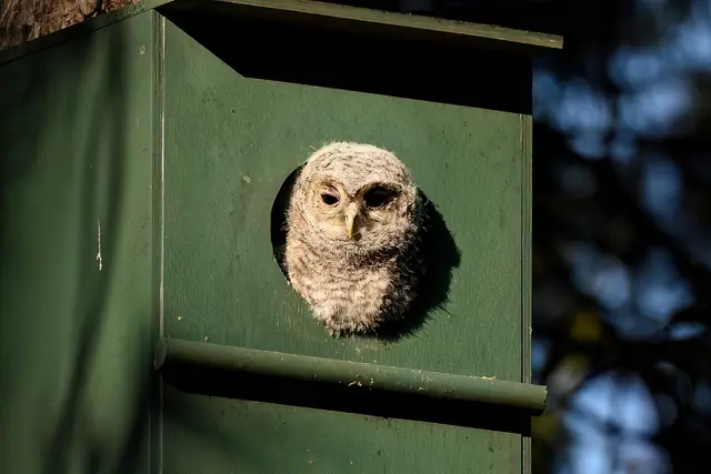 Rückblick | Foto: Copyright Andreas Schäfer