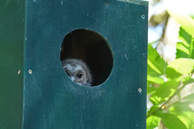 Rückblick | Foto: Copyright Andreas Schäfer