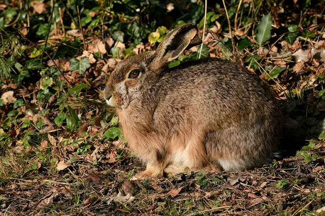 Foto: Copyright Andreas Schäfer