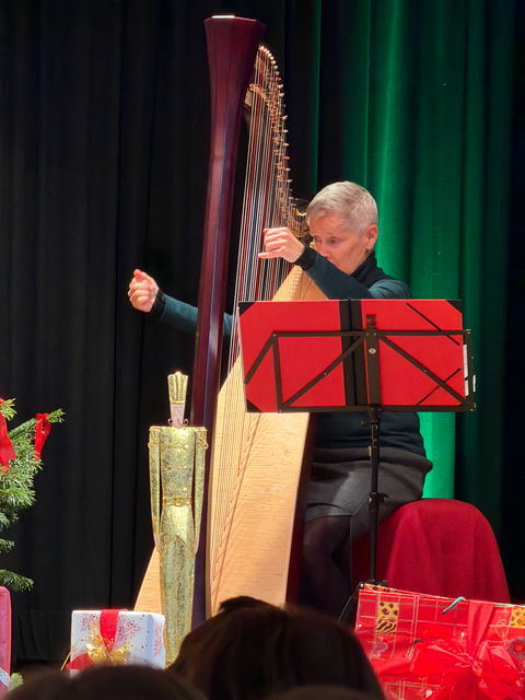 Friedberger Advent 2025 - Franz Scherer liest Ludwig Thomas "Heilige Nacht" - musikalisch umrahmt von der Harfenistin Angelika Bubmann | Foto: Martin Scherer, FSeventfooto