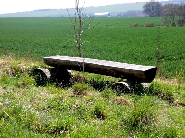 Bank am Kalksteinhang bei Welbsleben
