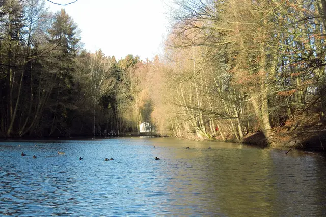 Gondelteich unter der Alten Burg