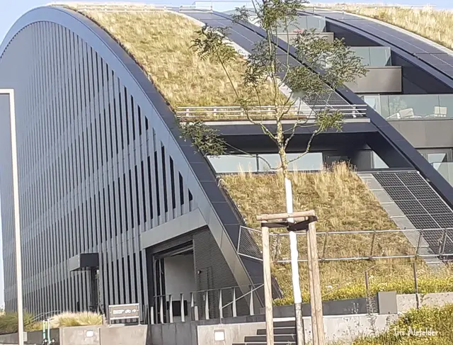 Foto: Iris Alefelder