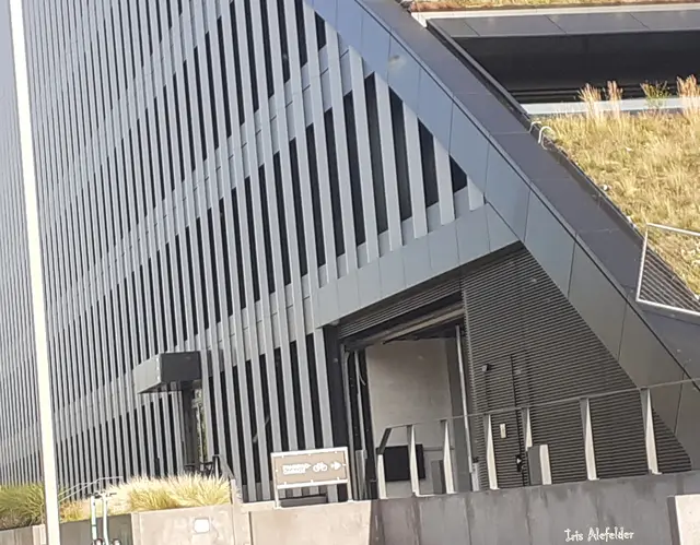 Foto: Iris Alefelder