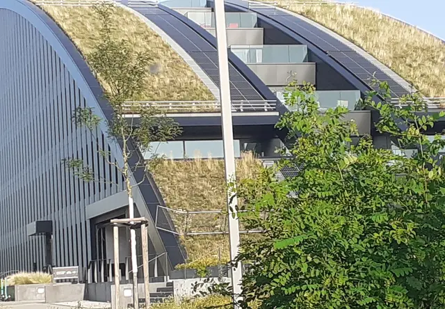 Foto: Iris Alefelder