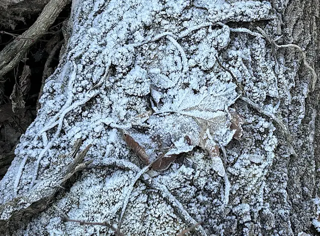 Frostige Strukturen 