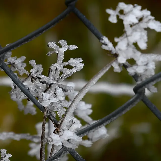 Foto: Günter Presnitz
