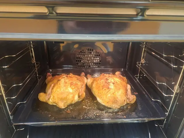 Das ist der ganze Hühnerschmaus - goldgelb und nur ein Hühnerbein dran. | Foto: Otto Killensberger