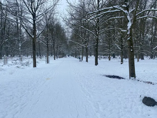 Da läuft doch was über den Weg