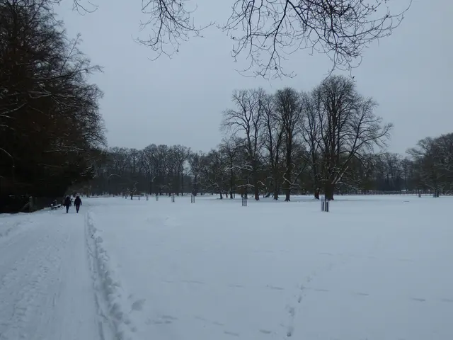 Der Tiergarten im Schnee