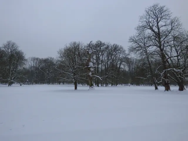 Weiter im Tierpark