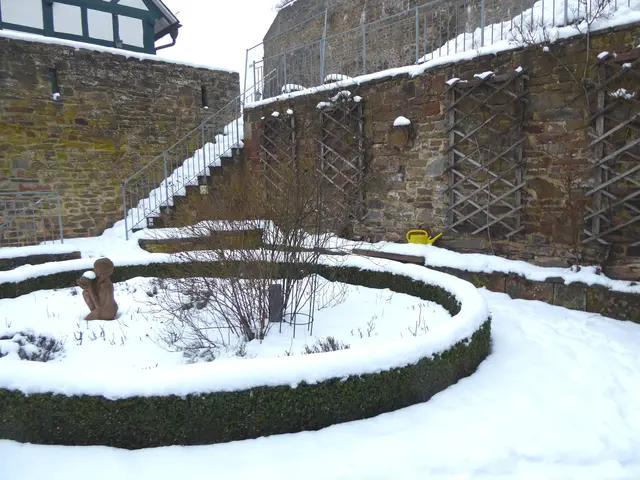 Rosengarten 2026-05, 01.02.2026.