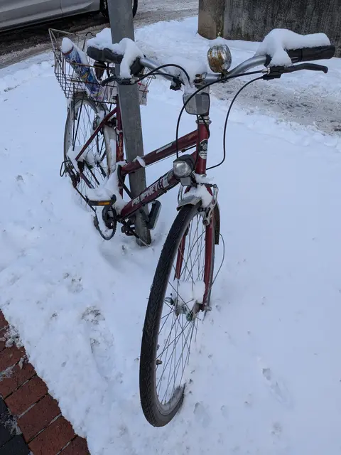 Mobilität im Schnee