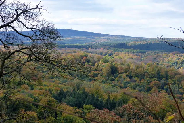 Blick von der Burgruine zum 7 km entfernten Ramberg 