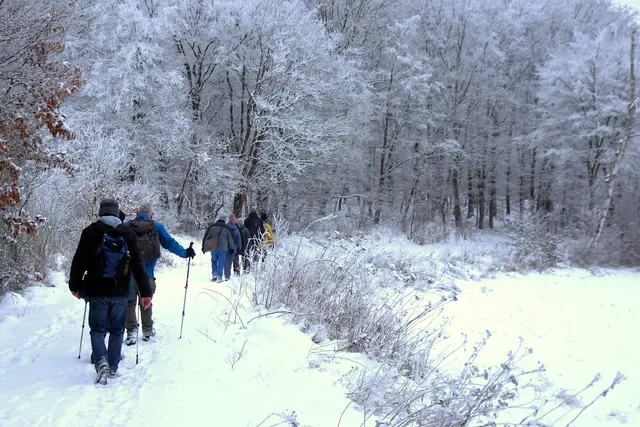 auf dem Weg in Richtung Wilhelmshof