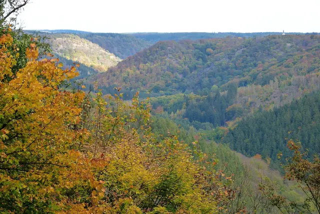 über dem Baumhorizont ist der 5 km entfernte  Turm des Falkensteins zu sehen, vom Hausberg aus aufgenommen