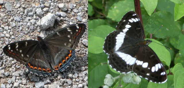 Foto: Das Copyright aller Fotos liegt beim Autor selbst