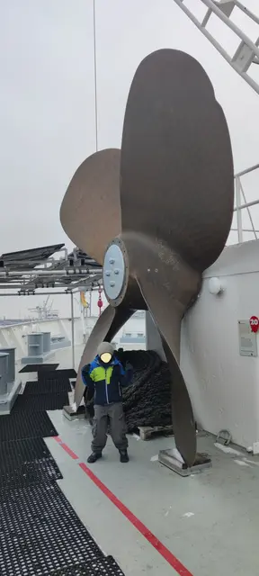 Auf der Cap San Diego