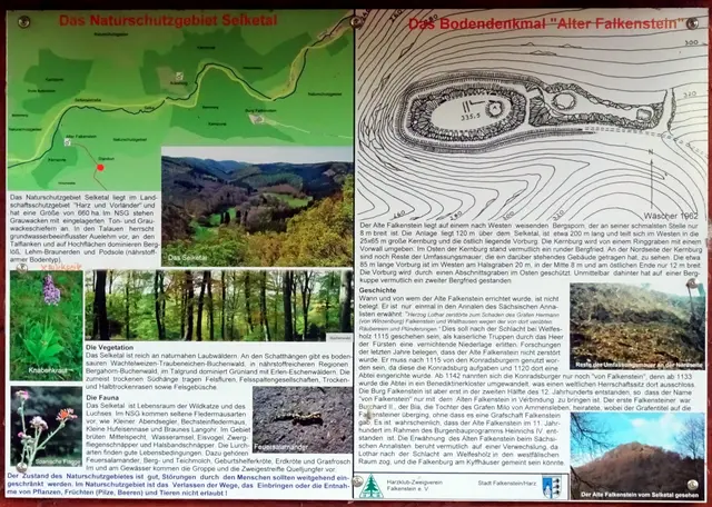 Infotafel Alter Falkenstein