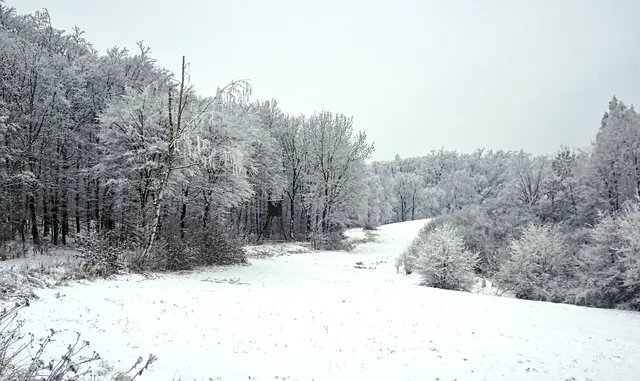 Winterlandschaft kurz vor Wilhelmshof