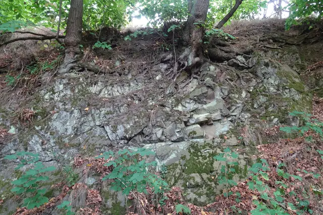 Steinreste am Alten Falkenstein