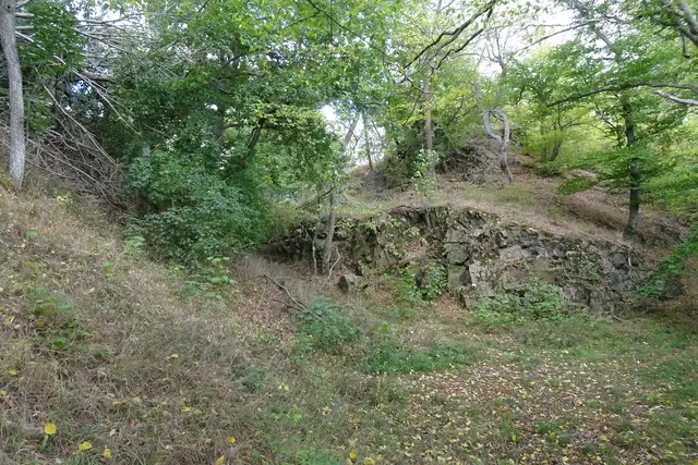 Alter Falkenstein