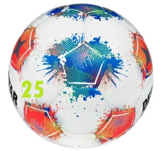 25. Spieltag der Bundesligasaison 2025/26.