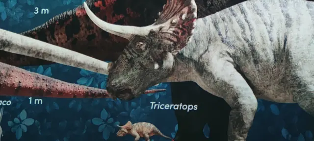 Die Welt der Dinosaurier im Port des Lumières