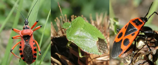 Foto: Das Copyright aller Fotos liegt beim Autor selbst