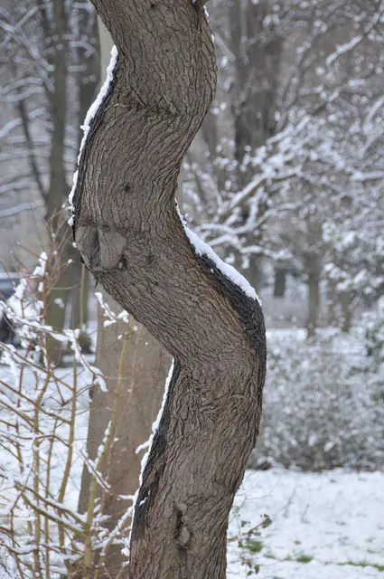 Details bieten ebenfalls schöne Fotomotive