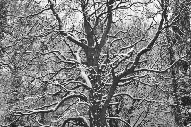 S/W, wenns grafisch sein soll