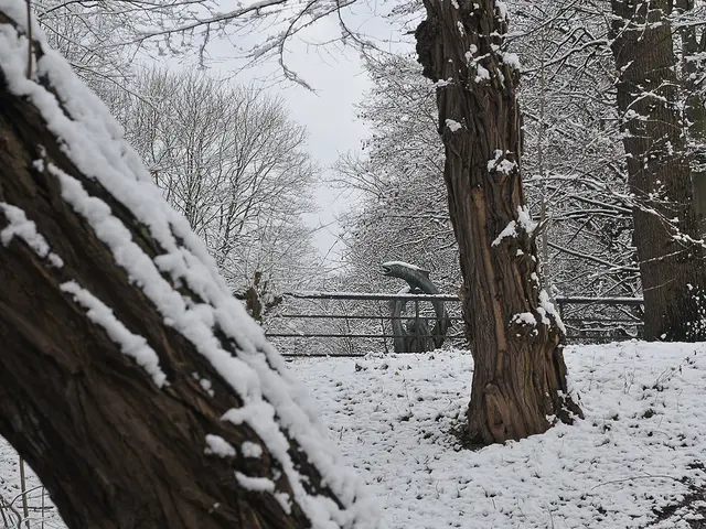 Der Fischebrunnenin Hannover
