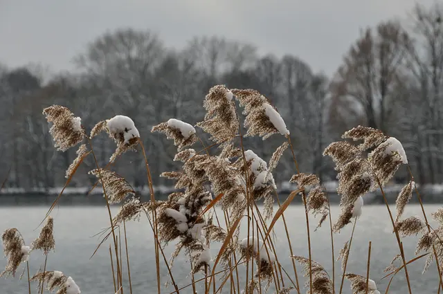 Details bieten ebenfalls schöne Fotomotive