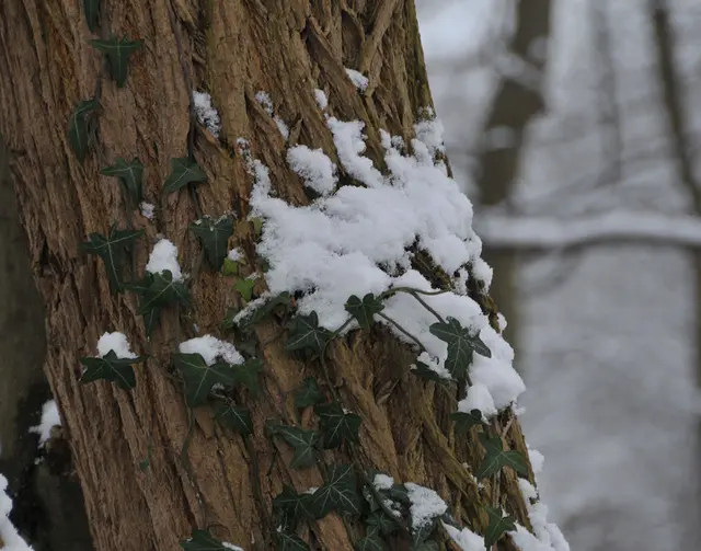 Details bieten ebenfalls schöne Fotomotive