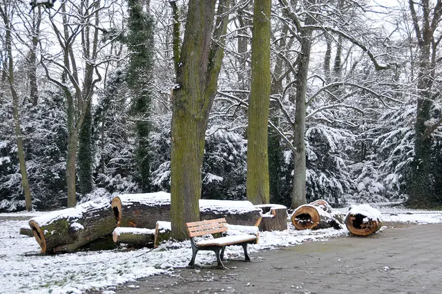 Grünanlage in Hannover