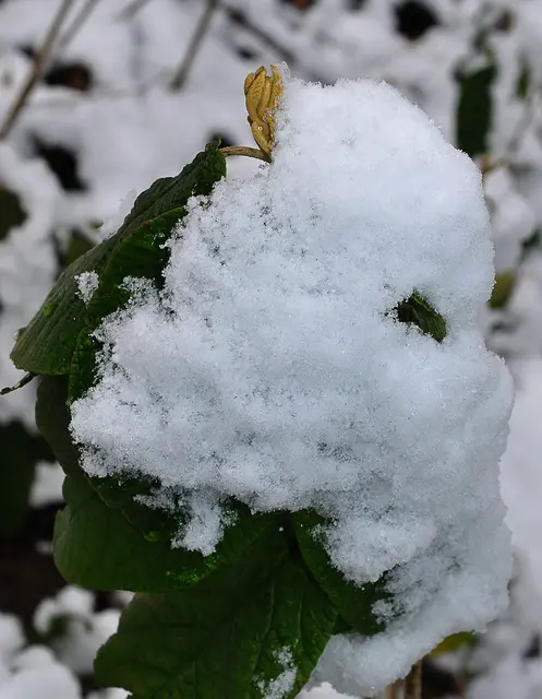 Details bieten ebenfalls schöne Fotomotive