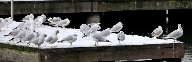 Sie frieren bestimmt auch